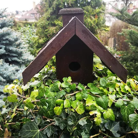 Hanspaulka Garden * Prag
